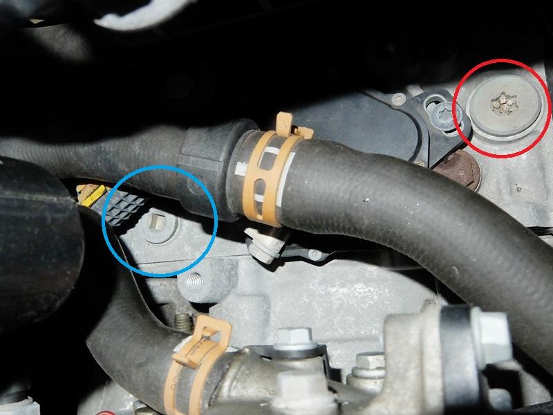 ATF注入の際、ギアをNレンジに入れ、エンジン停止後にエアホースを外して、上写真の青丸で囲んだ方のボルトを外して注入する。赤丸で囲んだ星形のボルトと間違えることが多いので注意！（プジョーも同じです）