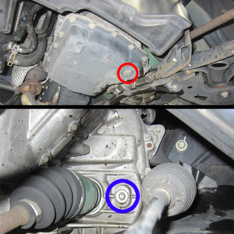 写真上の赤丸が排出プラグ、
下の青丸が充填、油量チェックプラグです。