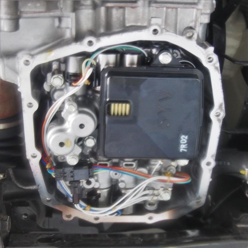 黒い四角がストレーナーです。