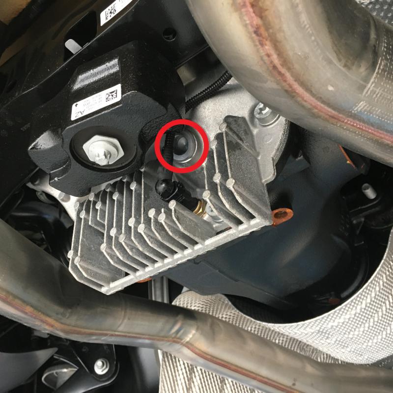 デファレンシャルです。
赤マークで示した位置から添加を行います。排出、注入のドレンは分かれておらず一穴でした。