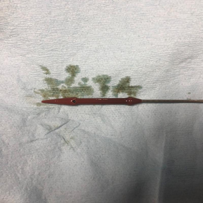 最後にオイル量を確認して終了です。