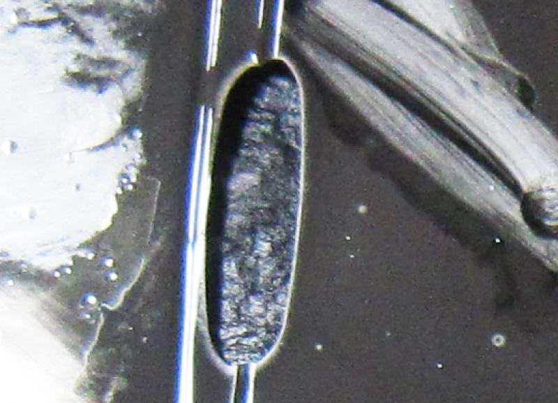 使用済みのフィルターにはスラッジと鉄粉がたっぷり溜っています。ATF交換の際はできるだけストレーナーの交換を推奨しています。ストレーナーが詰まっているとオイルの吸い上げを阻害する可能性があります。