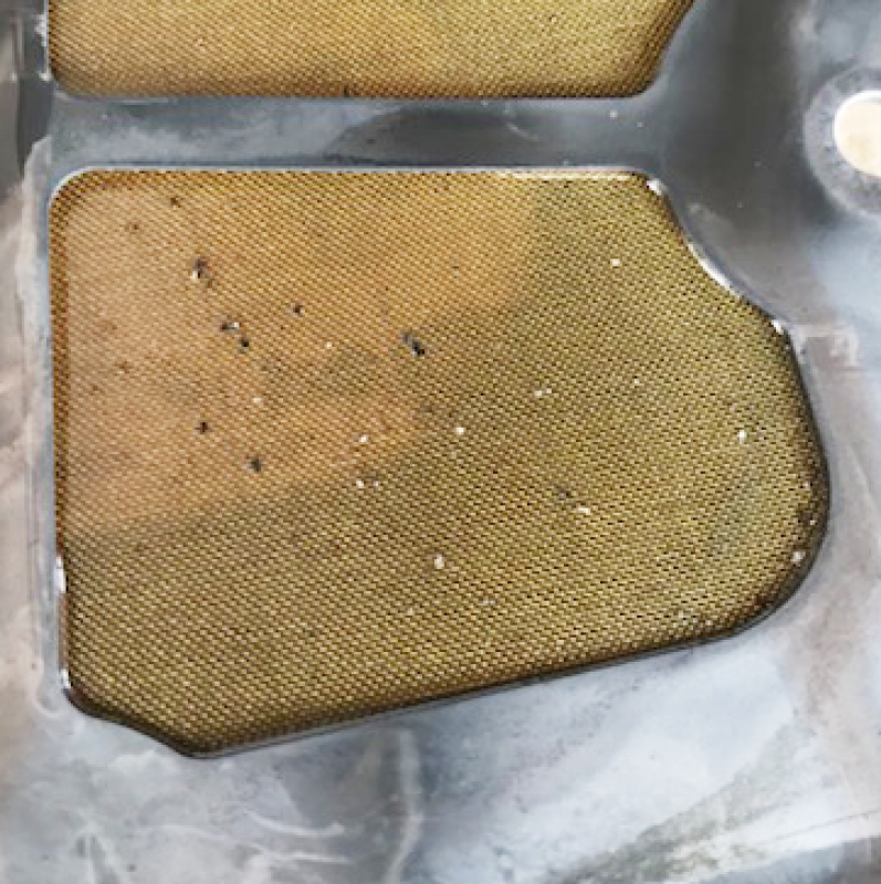 肉眼ではっきり見える大きさの鉄粉がフィルターに捕まっています。