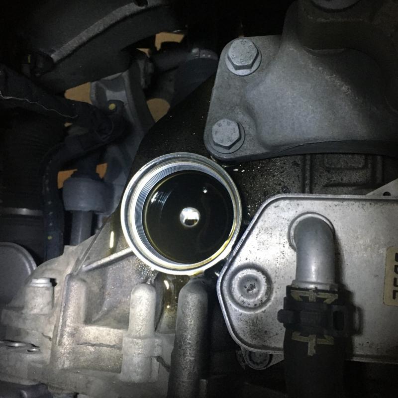 カバーを外しフィルターを取った状態です。
オイルが底に溜まっています。