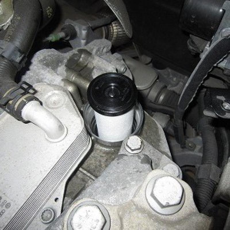 フィルターとOリングを交換して、カバーを元通り取り付けます。