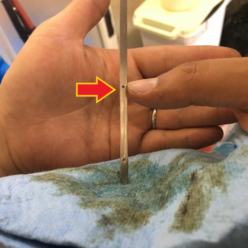 最後に油量を確認して、作業終了です。