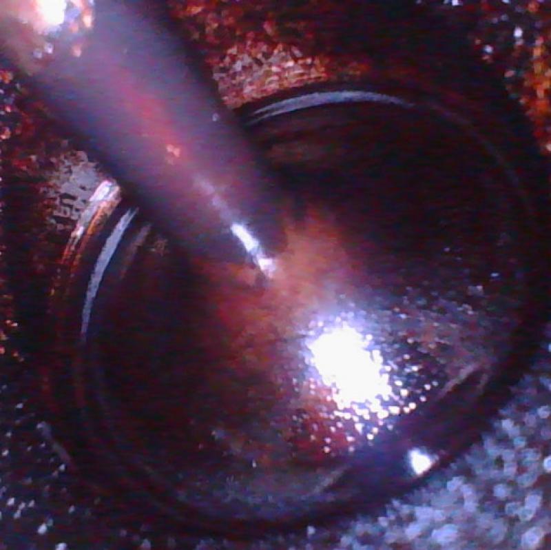 SOD-1FuelG２回添加後