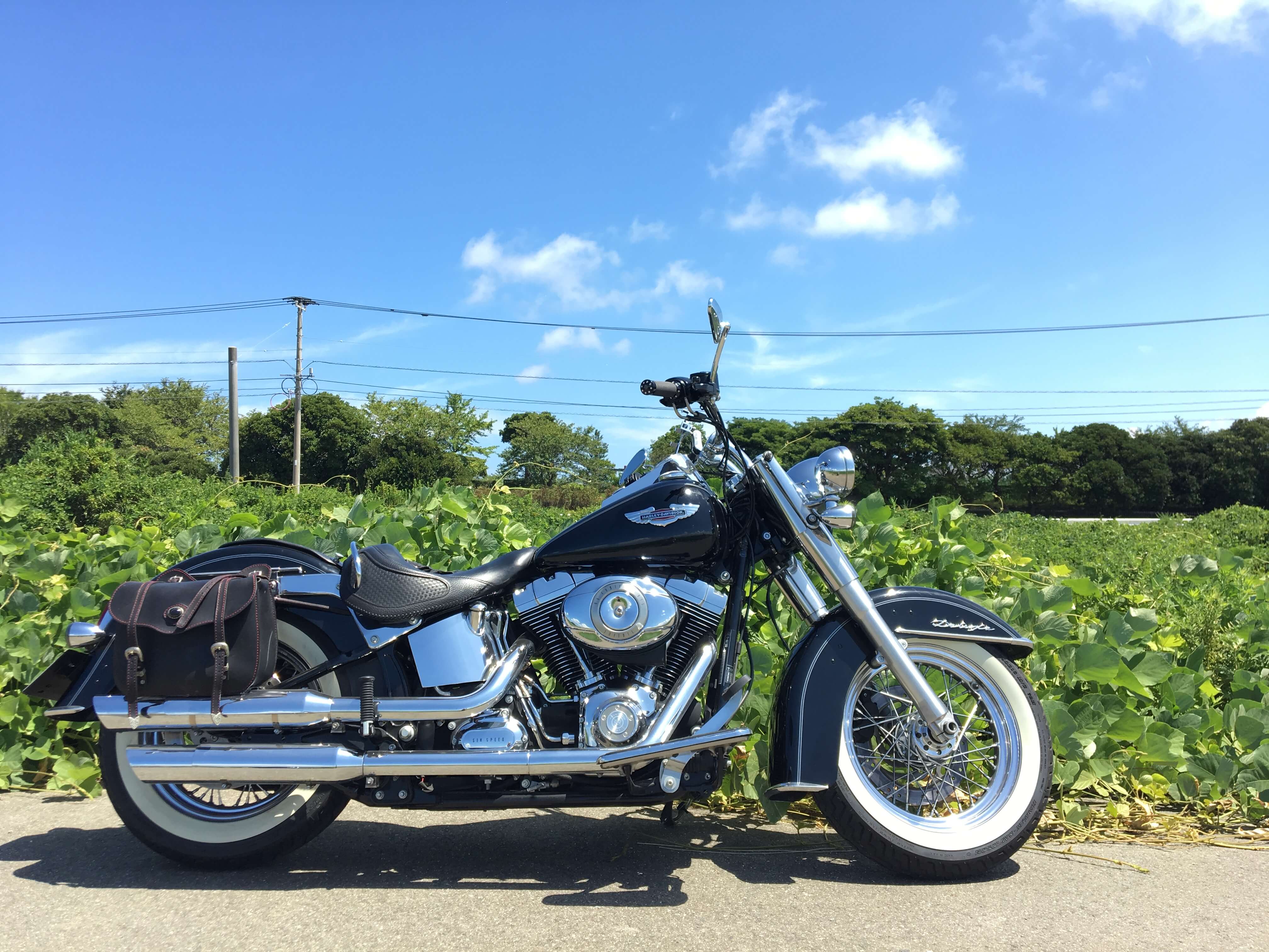 スライダー画像2