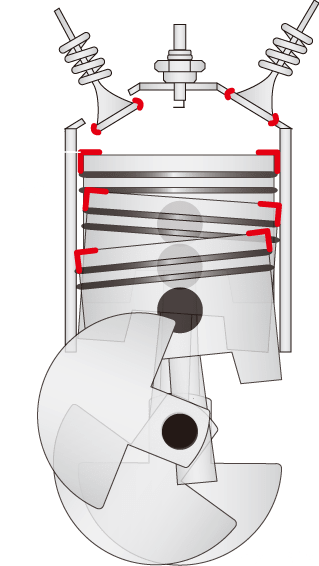 FM剤が作用する部位と働きイメージ図
