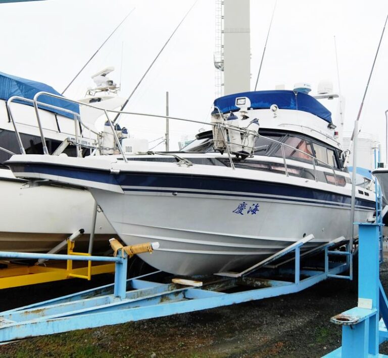 船のエンジンオイルにSOD-1Plusを添加しエンジン音が静かになった